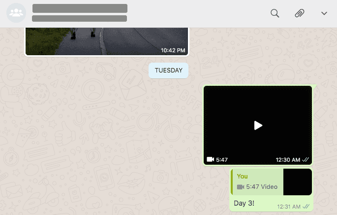 screenshot of whatsapp showing me sharing my finished movie for the day
