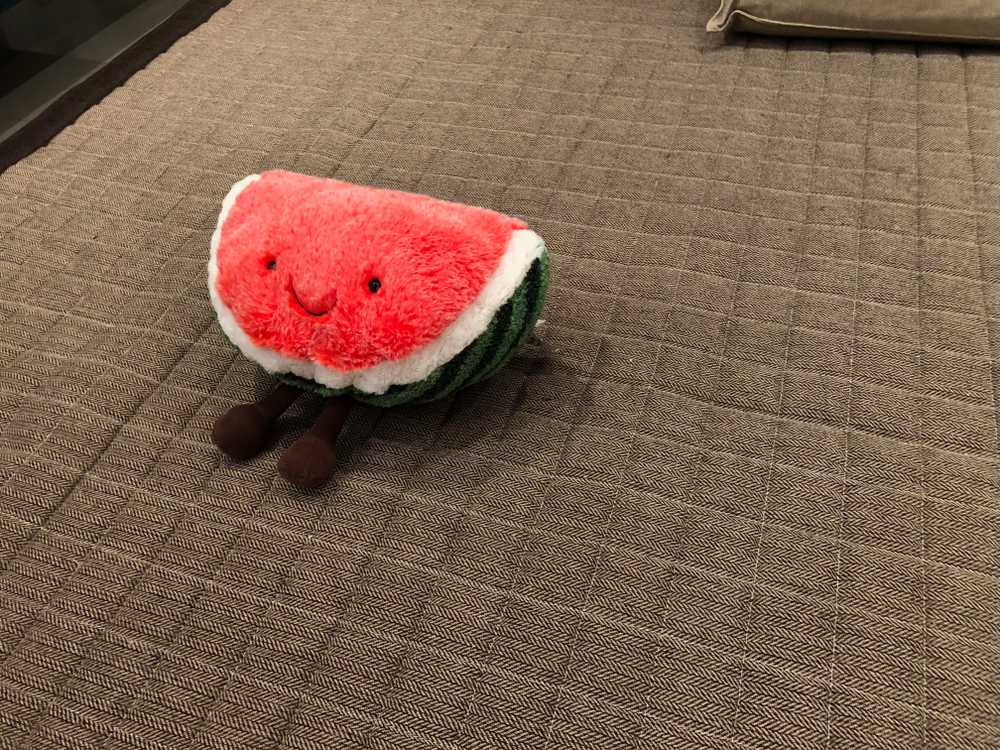 watermelon plushie melonie nick ang blog