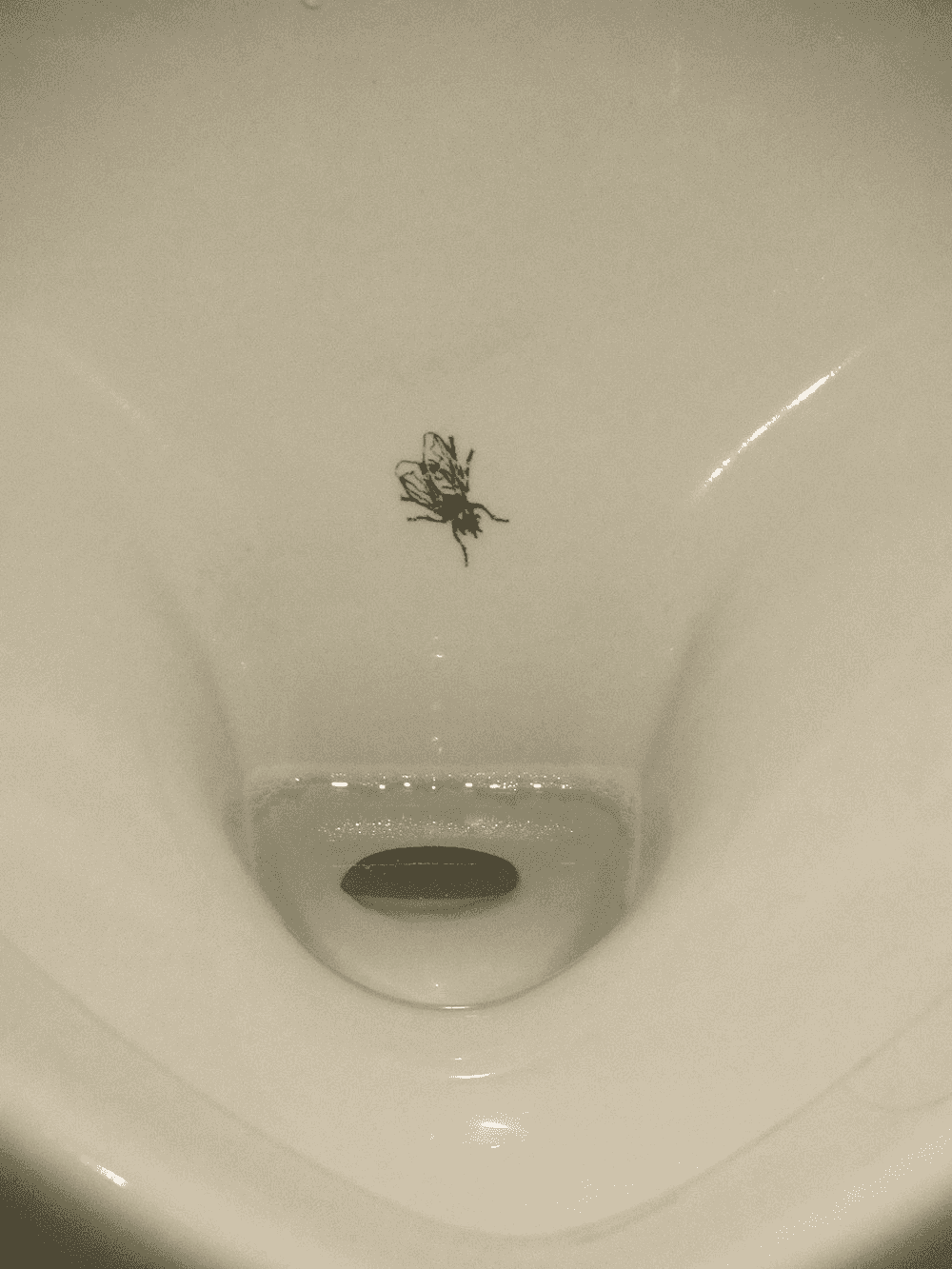 photo of a sticker of a mosquito pasted on a men's room urinal