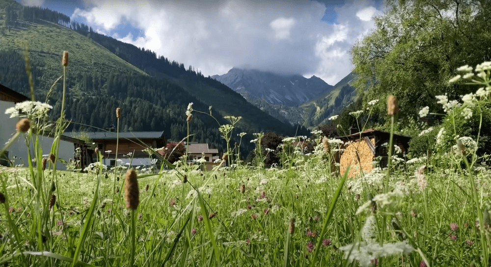 photo of the Austrian alps in the town of Bichlbach